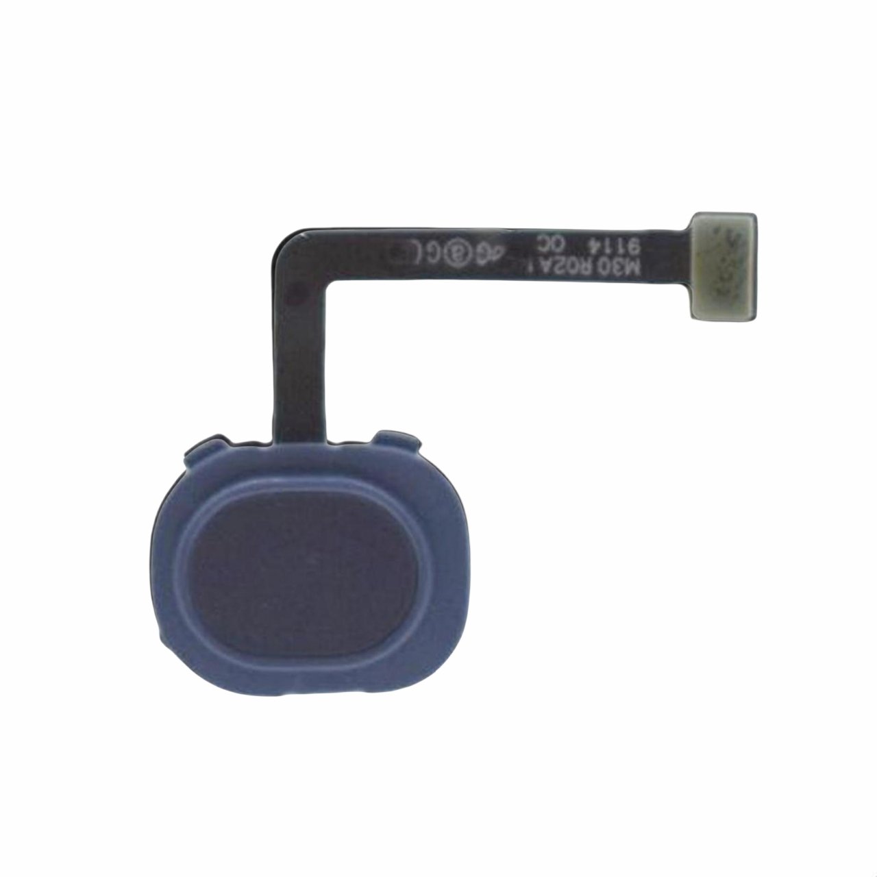 Cable flex Lector de huella para Samsung Galaxy M20 - M205 - azul