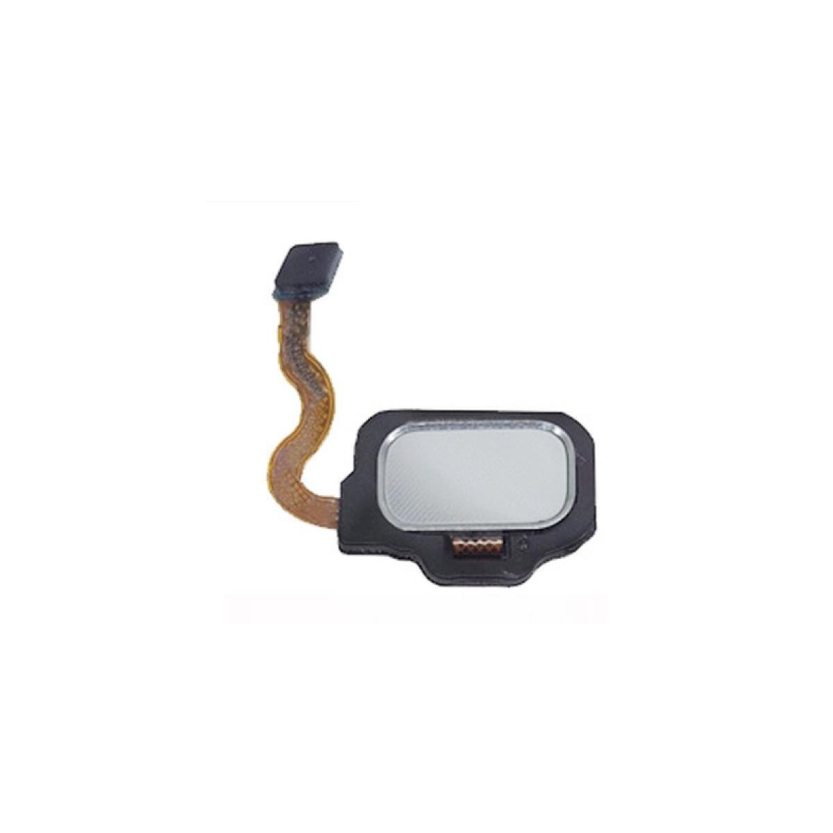 Cable flex de huella para Samsung Galaxy S8 G950/S8 Plus - G955 - plateado