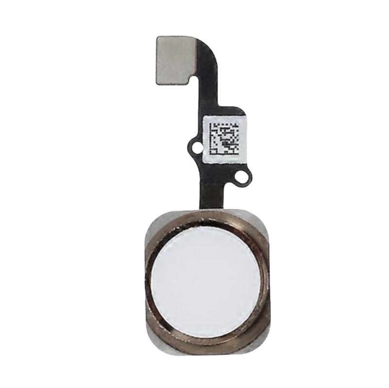 Cable flex del Botón Home para iPhone 6G/6 Plus - blanco