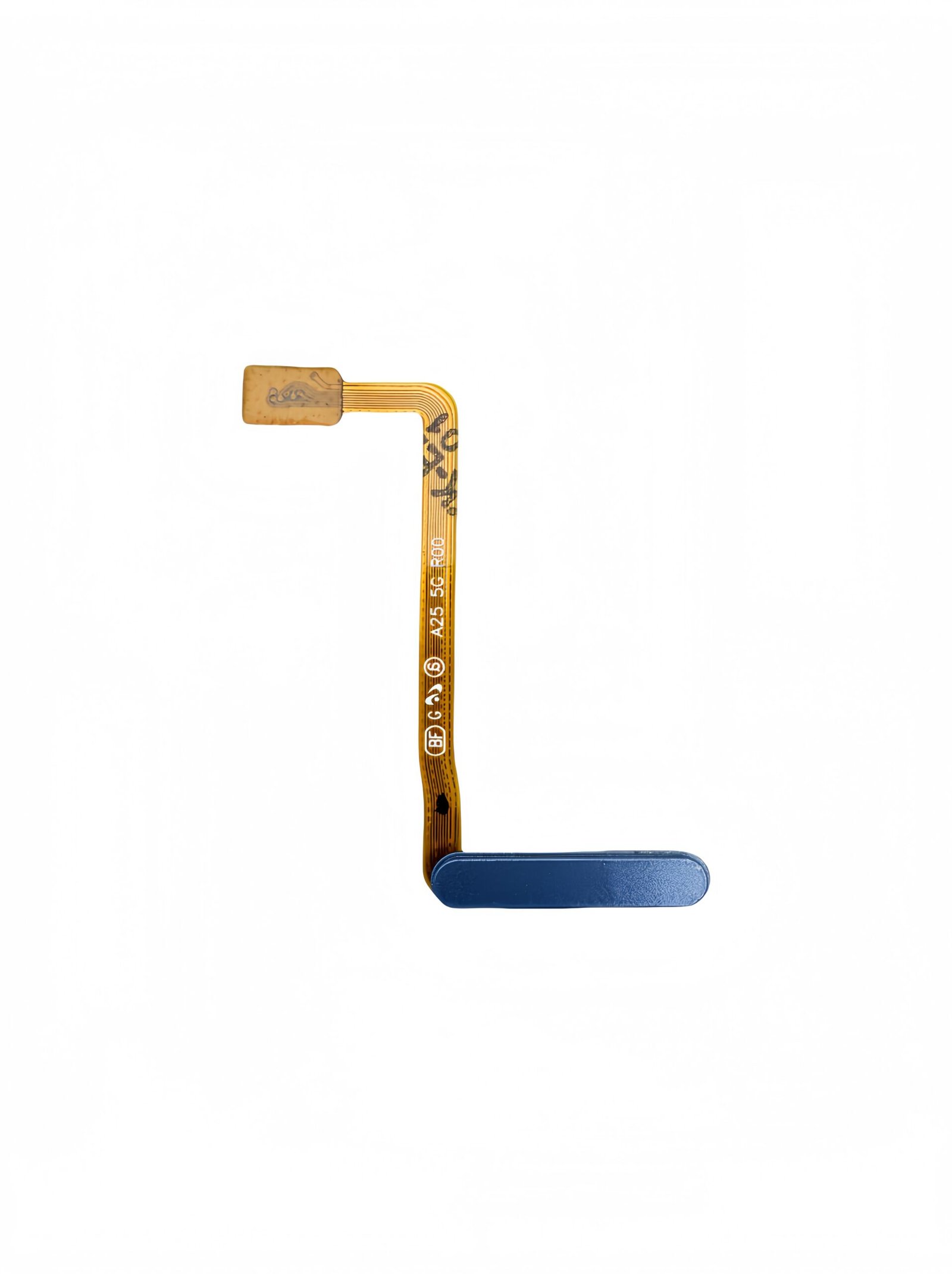 Flex Lector de huella para Samsung Galaxy A25 5G - A256B - azul